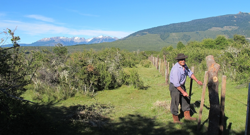 A person stands near a fence in a green area, surrounded by shrubs. In the background there are mountains. 